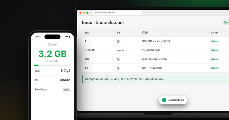 โดเมนและโฮสติ้งคืออะไร ต่างกันอย่างไร DNS ต่ออายุ ย้ายเว็บ และข้อควรระวังตอนจดโดเมน