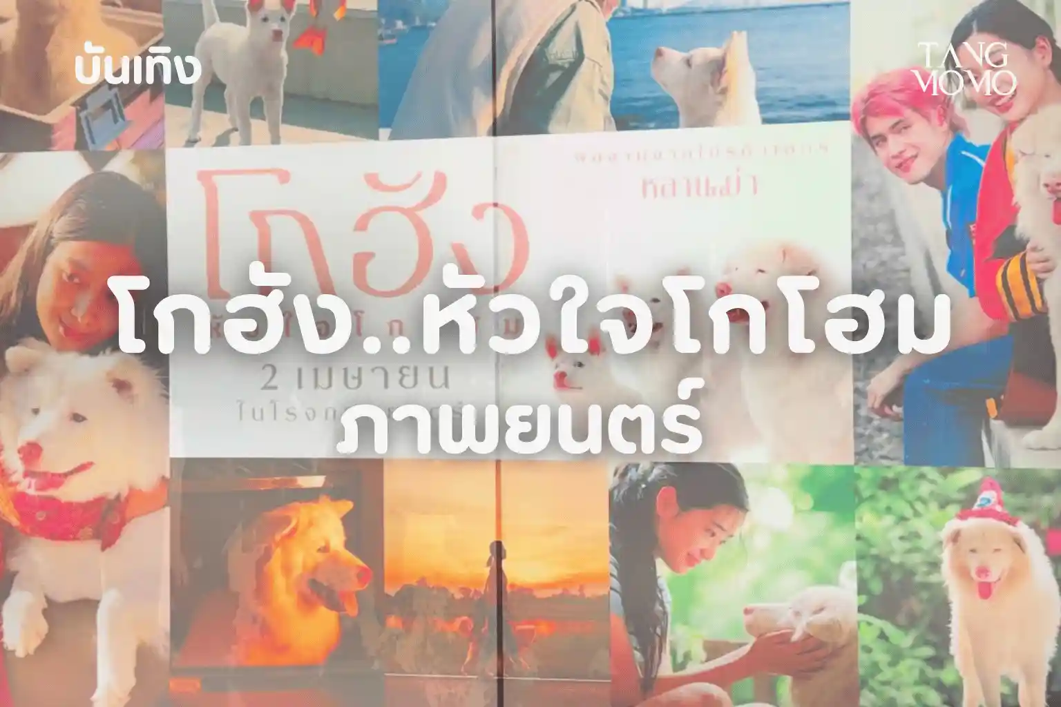 รีวิวหนัง โกฮัง..หัวใจโกโฮม