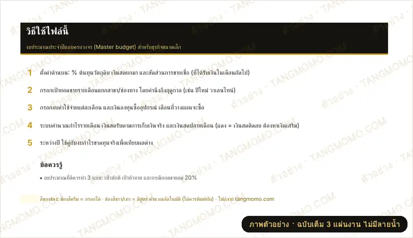 ภาพตัวอย่างบางส่วนของ งบประมาณประจำปีครบวงจร (Master Budget) (Excel)