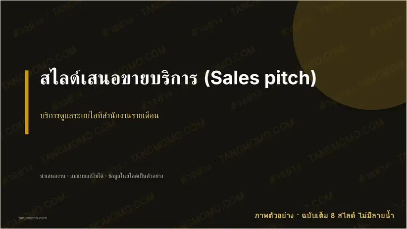ภาพตัวอย่างบางส่วนของ สไลด์เสนอขายบริการ (Sales pitch) (PowerPoint)