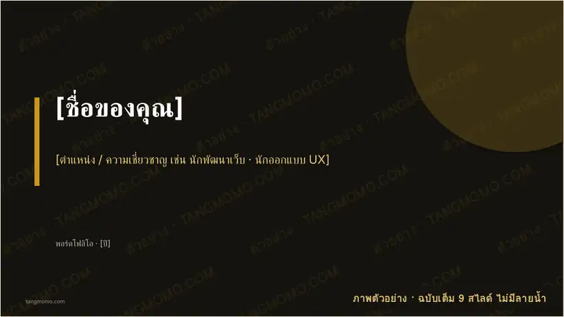 ภาพตัวอย่างบางส่วนของ สไลด์พอร์ตโฟลิโอนำเสนอผลงาน (PowerPoint)