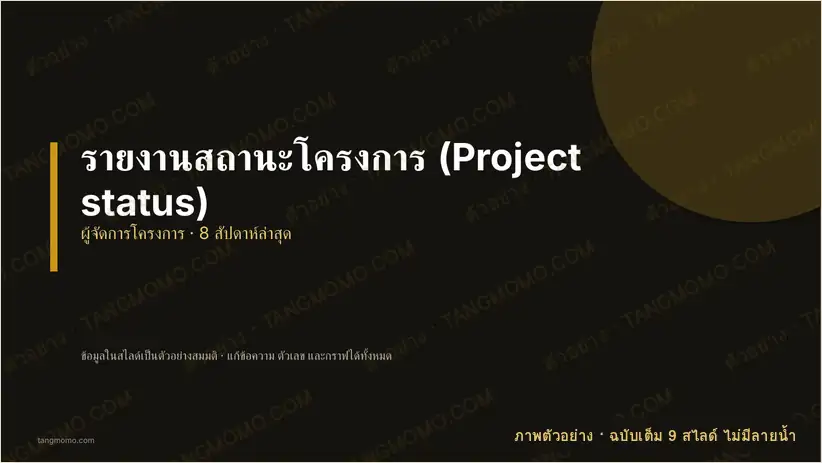 ภาพตัวอย่างบางส่วนของ รายงานสถานะโครงการ (Project status) (PowerPoint)